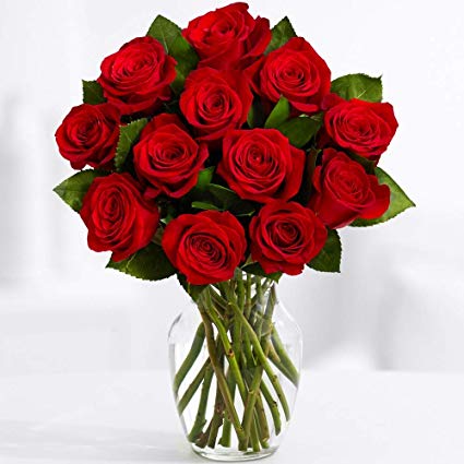 ProFlowers Red Roses One Dozen Red Roses w/Free Clear Vase - Flowers