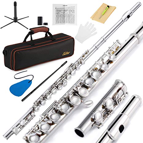 Eastar EFL-1 Closed Hole C Flutes 16 Key Nickel Beginner Flute Set With Carrying Case Stand Gloves Cleaning Rod and Cloth