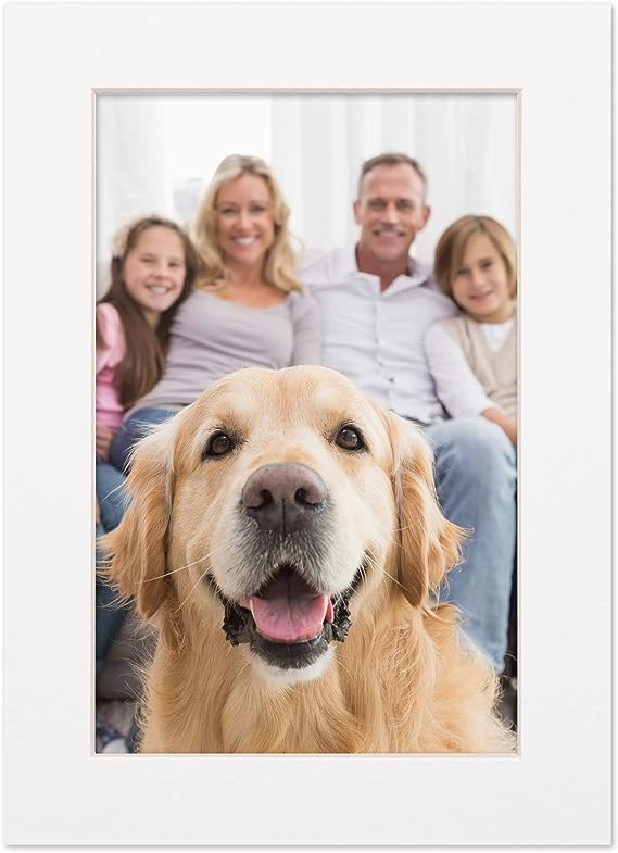 12x16 Mat for 16x20 Frame - Precut Mat Board Acid-Free White 12x16 Photo Matte Made to Fit a 16x20 Picture Frame, Premium Matboard for Family Photos, Show Kits, Art, Picture Framing, Pack of 1 Mat