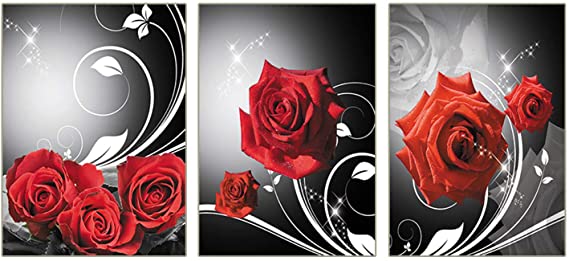 Red Rose Flowers Pictures Prints Black and Modern Romantic Florals Wall Art Set Of 3 Bathroom Kitchen Bedroom Washing Room Spa Wall Decor Home Decorations Frameless (8”X10”Canvas Picture)