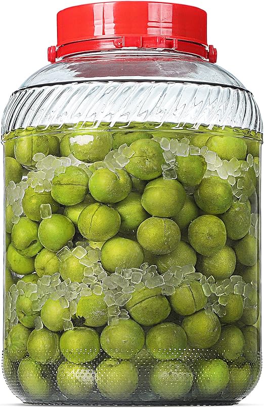 Daitouge Ulrta Large 4 Gallon(15200 ML) Glass Jar with Lid & Handle, Wide Mouth Canning Jars with Plastic Screw Lids, Glass Storage Jars BPA Free & Dishwasher Safe, 1 Pack