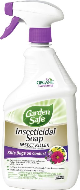 Garden Safe Insecticidal Soap Insect Killer (Ready-to-Use) (HG-10424X)