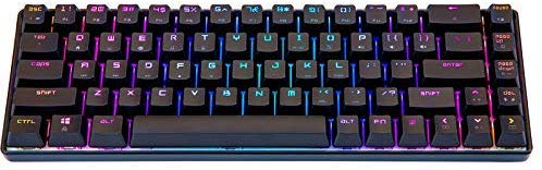 Taide 68 Keys RGB Mini keybaord,Portable Compact 68 Keys 100% Anti-Ghosting for PC,Mac with Wired USB-C Cable Mechanical Keyboard (Red Switch)
