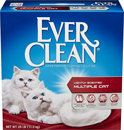 Ever Clean Cat Litter, 25 Pounds