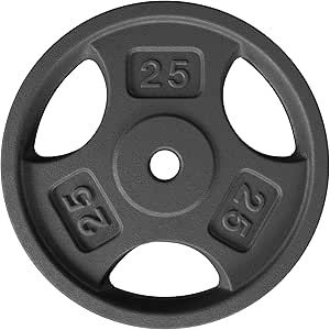 Yes4All Standard 1" Cast Iron Weight Plate - Ideal for Strength Training - Multiple Weight: 5LB to 25LB (Single & Set of 4)