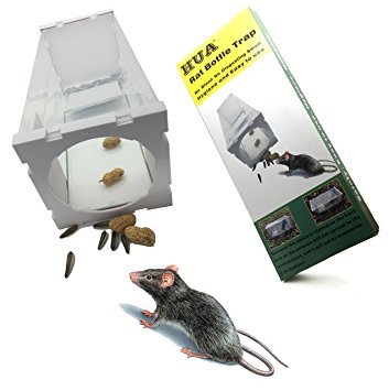 HUA Rat Trap Bottle for Skunk & Squirrel and Similar-size Animals,easy to Use, Isolate Bacteria,No Blood No Disgusting Smell