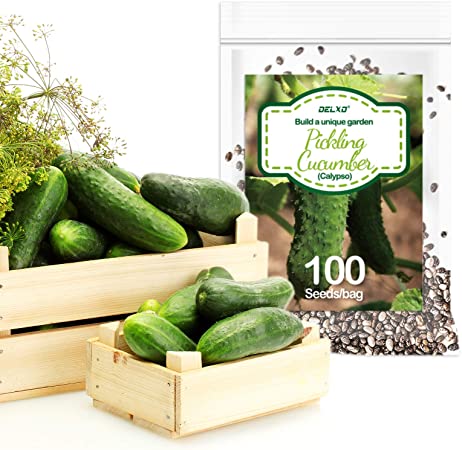 Delxo Pickling Cucumber Seeds for Planting Home Garden, 100+ Heirloom Straight 8 Cucumber Seeds,100% Non GMO &Organic Beit Alpha Cucumber Seeds Pickling.