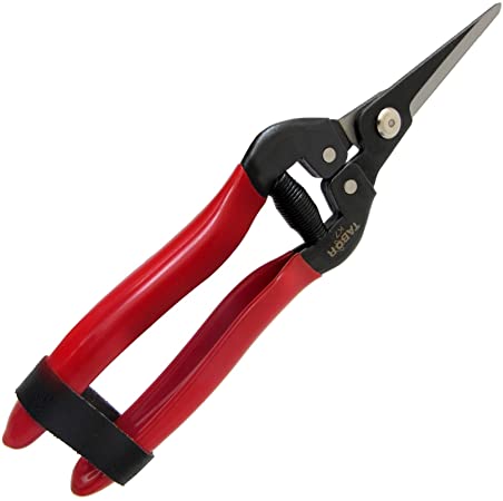 TABOR TOOLS Straight Pruning Shears, Florist Scissors, Multi-Tasking Garden Snips for Arranging Flowers, Trimming Plants and Harvesting Herbs, Fruits or Vegetables (K7E Carbon Steel Blades)