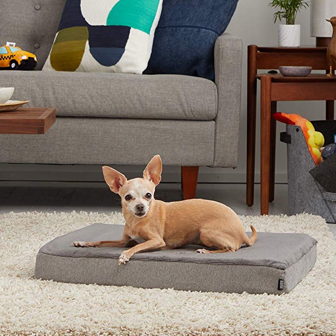 BarkBox Thick Orthopedic Gel Memory Foam Enhanced Dog Bed - Removable Washable Cover, Small, Medium, Large - Free Surprise!