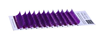 Alluring Mixed Size Color Lashes for Eyelash Extenions (C Curl - 0.20mm Mix (10mm to 14mm), Purple)