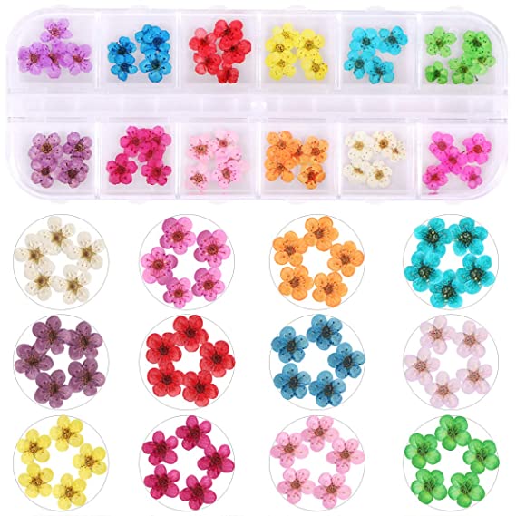 1 Box Dried Flowers for Nail Art, KISSBUTY 12 Colors Dry Flowers Mini Real Natural Flowers Nail Art Supplies 3D Applique Nail Decoration Sticker for Tips Manicure Decor (Daffodils Flowers)