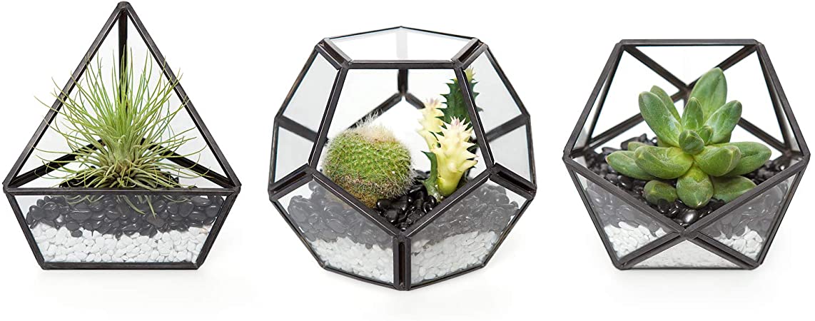 Mkono 4 Inch Mini Glass Geometric Terrarium Container Set of 3 Modern Tabletop Planter Windowsill Decor Shelves DIY Display Box Centerpiece Gift for Succulent Air Plant Miniature Fairy Garden, Black