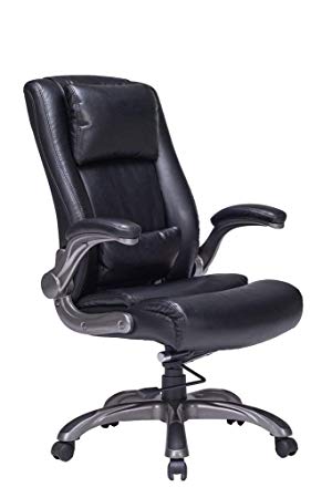 Statesville Executive Office Chair with Flip-up Armrest Ergonomic Office Chair Thick Padding Office Chair with Lumbar Support High Back Desk Chair (Black)
