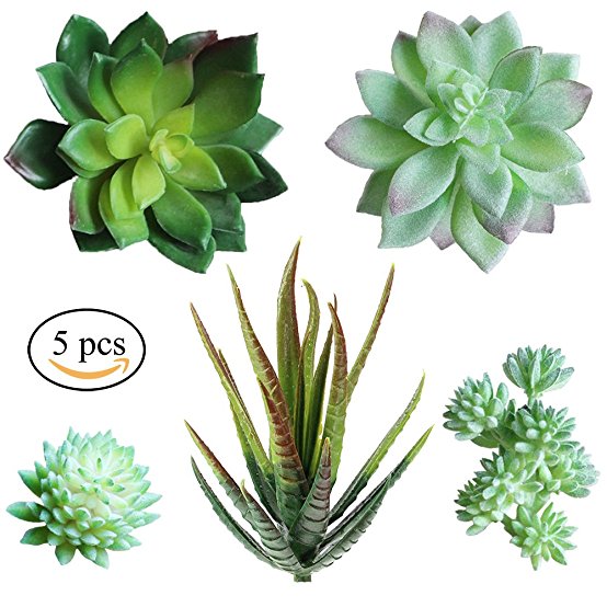 Supla Pack of 5 Assorted Artificial Echeveria Succulent Picks in Flocked Green and Green 4"-1.3" wide for Floral Arrangement Christmas Accents