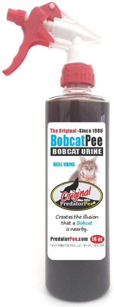Predator Pee 100% Bobcat Urine - Territorial Marking Scent - Creates Illusion That Bobcat is Nearby - 16 oz