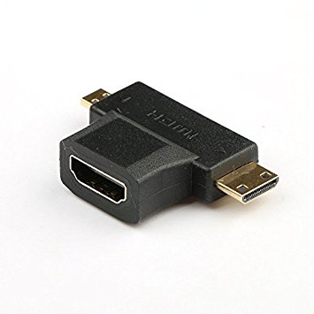 WAWPI Adapter(2 in 1)Golden Plated Mini-HDMI   Micro-HDMI to HDMI