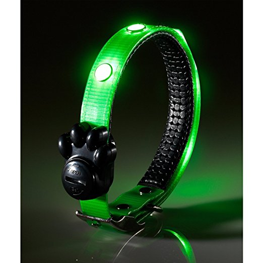 Auraglow Super Bright LED Light Up Dog Collar High Visibility Flashing Safety Pet Leash - MEDIUM - GREEN