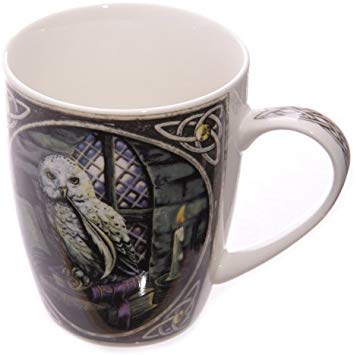 Lisa Parker Puckator Owl design - bone china mug in presentation box