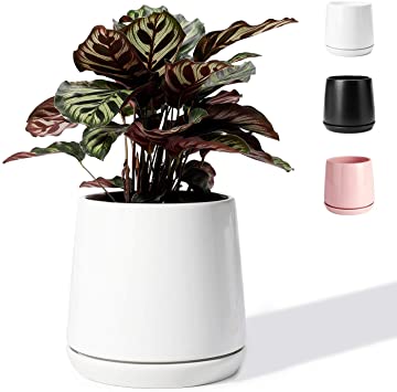 POTEY 051301 Plant Pot for Plants Flower- 5.7 Inch White Ceramic Glazed Planters Bonsai with Drainage Hole & Saucer(Plant NOT Included)