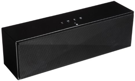 AmazonBasics Large Portable Bluetooth Speaker