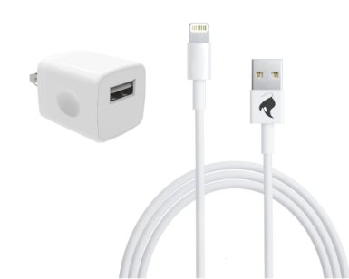 Wall Charger Adapter for iPhone USB 5W with 3ft Lightning Cable Cord for iPhone 5 /5c /5s /6 / 6 Plus