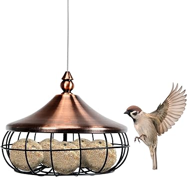 COSTWAY Suet Fat Ball Feeder, Hanging Wild Bird Feeders with Stainless Steel Wire and Iron Grid, Food Dispenser for Outdoor Garden Birds Feeding