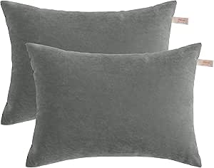 NTBAY 2 Pack Pillows, 13"x18" Microfiber Pillows for Travel, Pets, Machine Washable Small Pillows for Neck, Wrist, Lumbar and Knee, Dark Grey