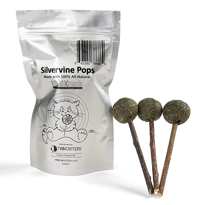 Twin Critters Organic Silver Vine Lollipops Catnip Matatabi Sticks - Dental Health - for Cats & Kittens 100%, All-Natural Silvervine (3 Pack)| Wild Harvested with No Additives Or Preservatives