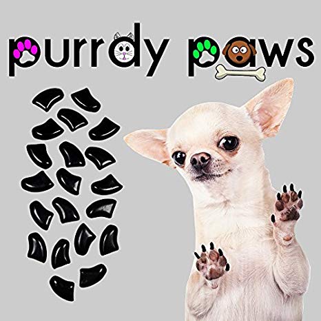 Purrdy Paws 100-Pack Soft Nail Caps for Dog Claws Black