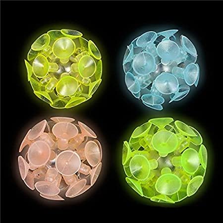 Glow in the Dark Suction Cup (Package of 12) Assorted Colors