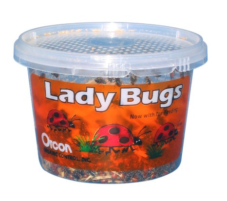 Orcon LB-C1500 Live Ladybugs Approximately 1500 Count