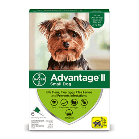 Advantage II Flea Prevention for Small Dogs, 6 Monthly Treatments