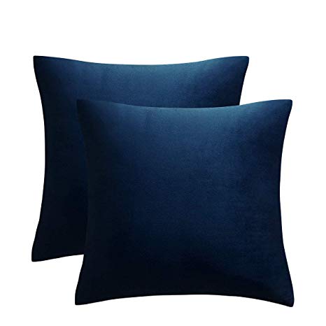 JUSPURBET Pack of 2,Velvet Decorative Throw Pillows Covers Cases for Couch Bed Sofa,Soild Color Soft Pillowcases,24x24 Inches,Navy Blue