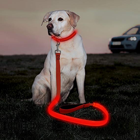 Illumifun LED Dog Leash - USB Rechargeable Glowing Pet Leash - 3 Flash Modes Nylon Light Up Dog Lead Makes Your Dog Visible& Safe in The Dark(47.2inch/120cm)