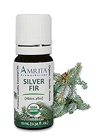 Amrita Aromatherapy Organic Silver Fir Essential Oil, 100% Pure Undiluted Abies alba, Therapeutic Grade, Premium Quality Aromatherapy oil, Tested & Verified, 10ML