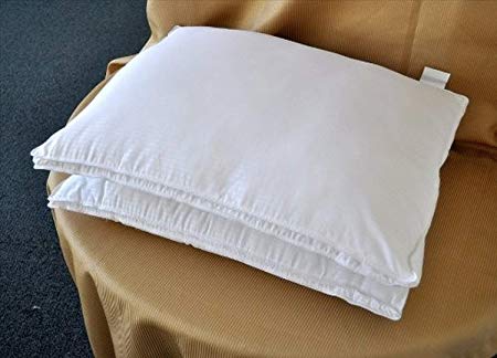 Natural Comfort White Microfiber Down Alternative Gel Like Pillow with Embossed Covering, Queen, Set of 2