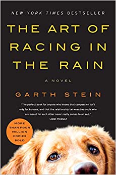 The Art of Racing in the Rain: A Novel