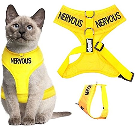 Dexil Color Coded Cat Harness Warning Alert Vest Padded and Water Resistant Let Others Know Your Cat In Advance
