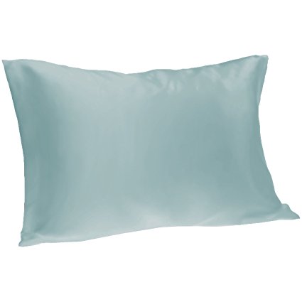 Spasilk Hair Beauty Polyester Satin Pillowcase, Queen 20"x30", Light Blue