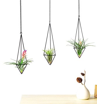 Mkono 3Pcs Hanging Air Plant Holder Himmeli for Tillandsia Airplants Display (with Chains), Black