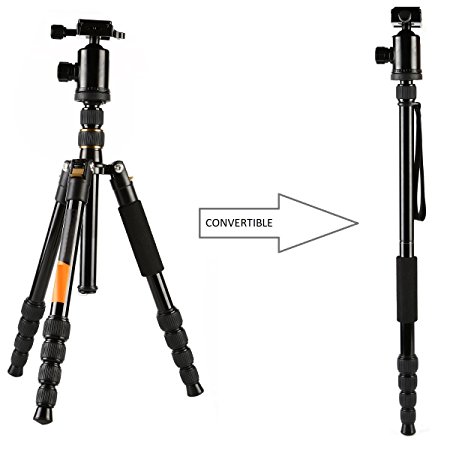 60-Inch Multi-Angle Tripod and Monopod - 360° Ball Head - Reversible Tripod Legs - Quick Release Plate - 5-Section Adjustable Legs (60" 152cm)