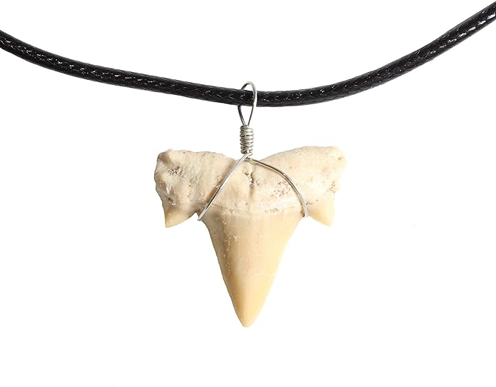 Dey Designs Shark Tooth Necklace for Men - Authentic Real Fossil Shark Pendants on Braided Leather Necklaces - Mens Necklace - Gifts for Men - Mens Jewelry - Fashion Jewelry for Men