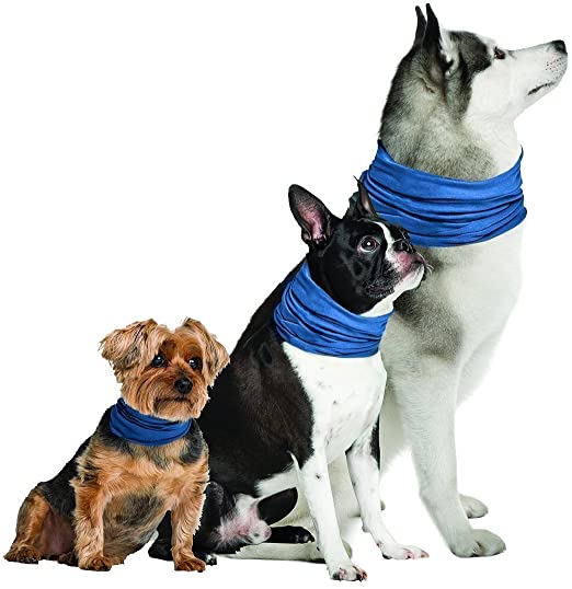 Novel Brands K9 Chill Dog Cooling Collar (Small/Medium 8"- 20")