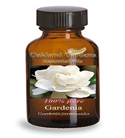 10 mL x GARDENIA Essential Oil - 100% Therapeutic Grade - Gardenia jasminoides - powerful love attracting scent - Essential Oil By Oakland Gardens (1 Bottle)