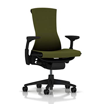 Herman Miller Embody Ergonomic Office Chair | Fully Adjustable Arms and Carpet Casters | Green Apple Rhythm