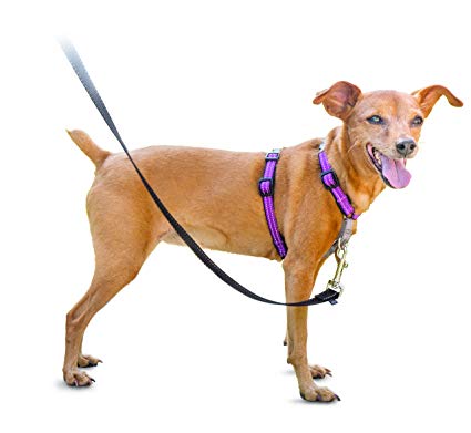 PetSafe 3in1 Harness, from The Makers of The Easy Walk Harness