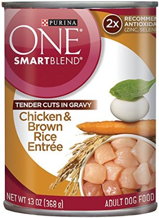 Purina ONE SmartBlend Wet Dog Food