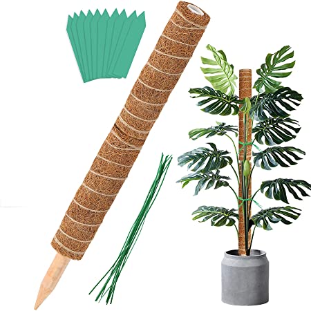 Augshy Total Length 24 Inch Coir Totem Pole - 2 Pcs 12 Inches Moss Pole, Coir Moss Stick for Monstera Climbing Indoor Creepers Plant Support Extension