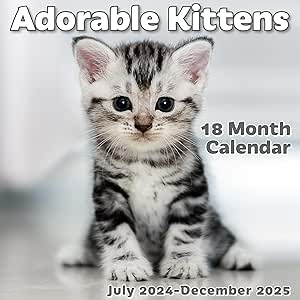 EcoEarth Biodegradable 11x17 Inch (Open) 18-Month Vertical Hanging Wall Calendar, Jul 2024 - Dec 2025 Monthly Calendar, Adorable Kittens