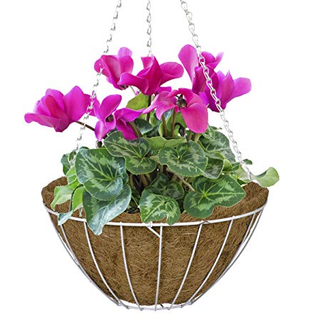 CobraCo White 16-Inch Growers Style Hanging Basket HGB16-W